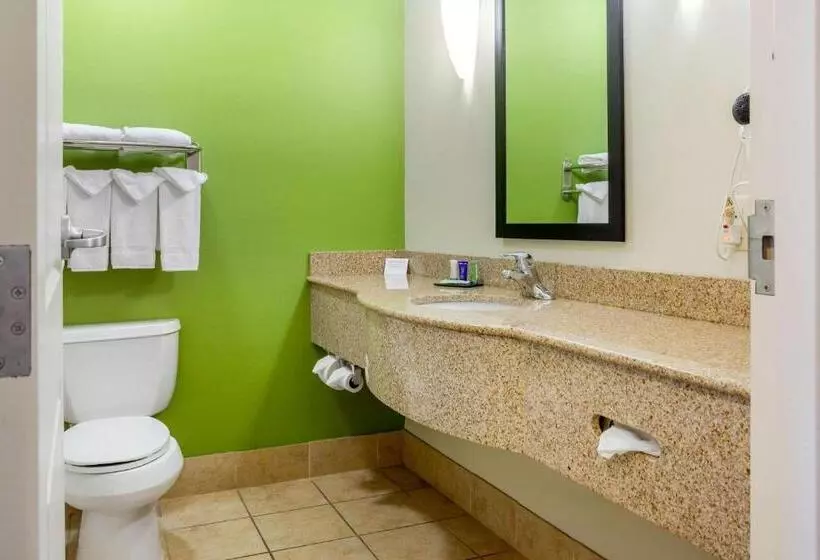 اتاق استاندارد با تخت بزرگ, Sleep Inn & Suites Airport
