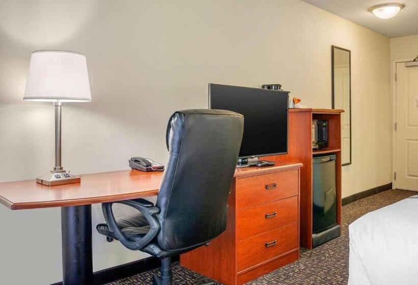 חדר סטנדרט, Sleep Inn & Suites Airport