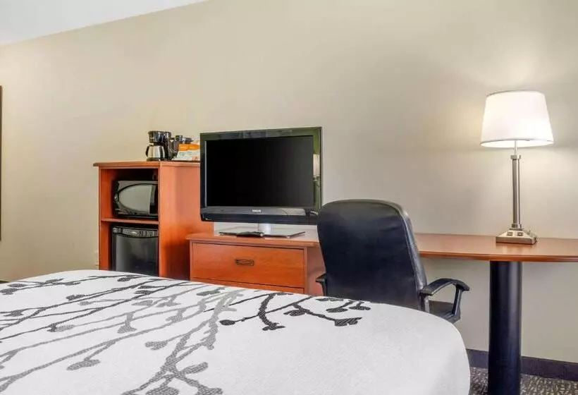 اتاق استاندارد, Sleep Inn & Suites Airport
