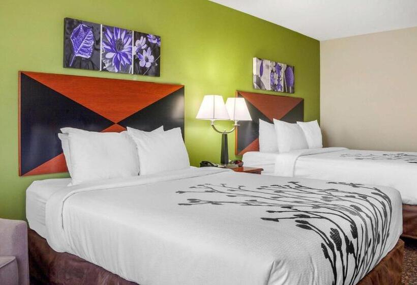 标准间, Sleep Inn & Suites Airport