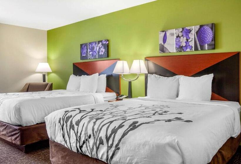 חדר סטנדרט, Sleep Inn & Suites Airport