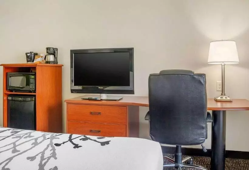 اتاق استاندارد با تخت بزرگ برای معلولان, Sleep Inn & Suites Airport