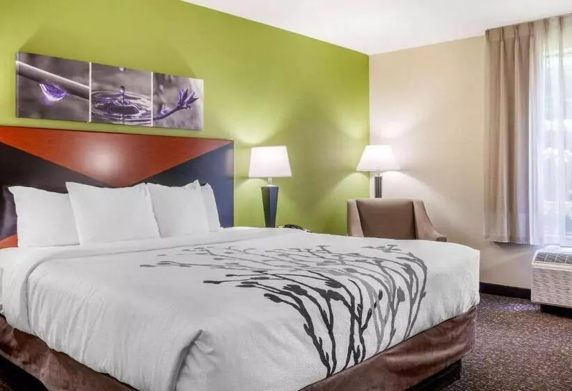 اتاق استاندارد با تخت بزرگ برای معلولان, Sleep Inn & Suites Airport