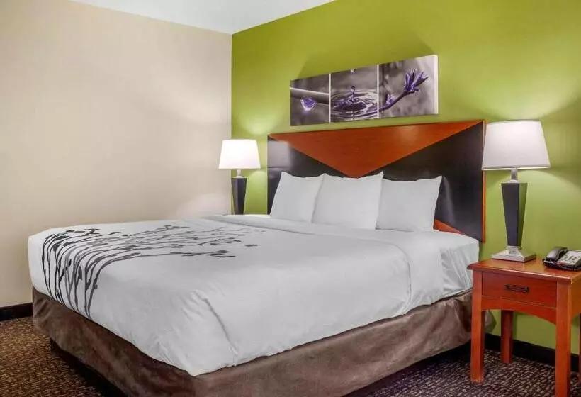 سوئیت برای معلولان, Sleep Inn & Suites Airport