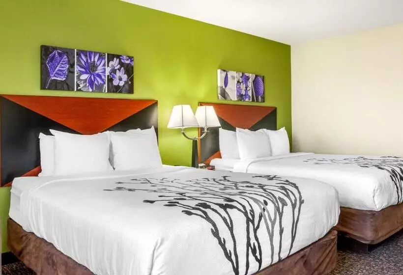 اتاق استاندارد برای معلولان, Sleep Inn & Suites Airport