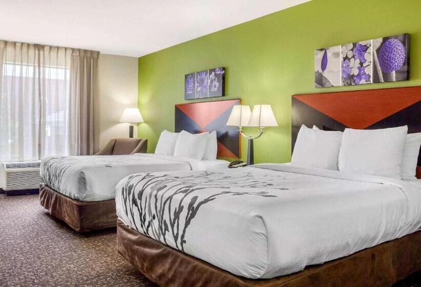 适合残疾人使用的标准间, Sleep Inn & Suites Airport