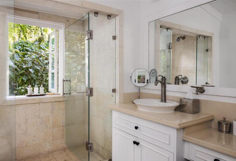 اتاق لوکس, Sugar Beach, A Viceroy Resort