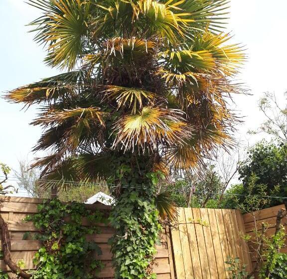 Дом 1 Спальня, Maison Tartifume