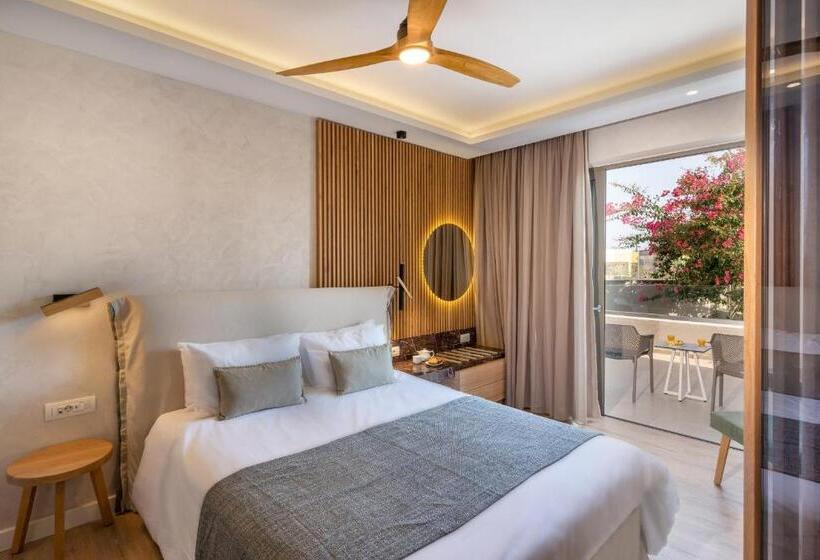 スタンダードルーム, Nefeli