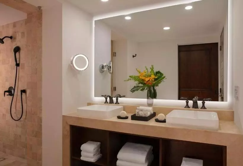 オーシャンビューデラックスルーム, Zoetry Casa Del Mar Los Cabos