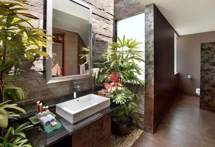 سوئیت با وان آب گرم, Kanishka Villas