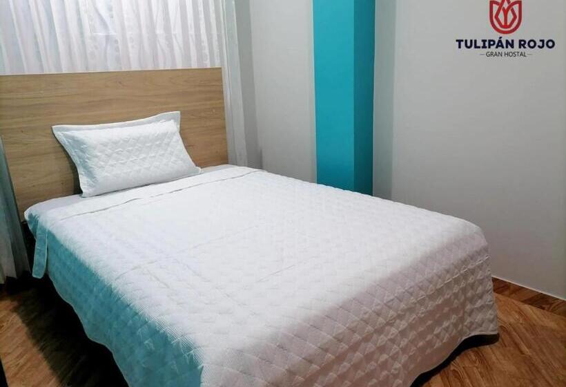 اتاق استاندارد یک نفره, Hostal Terraoro