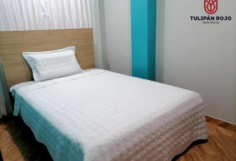 اتاق استاندارد یک نفره, Hostal Terraoro