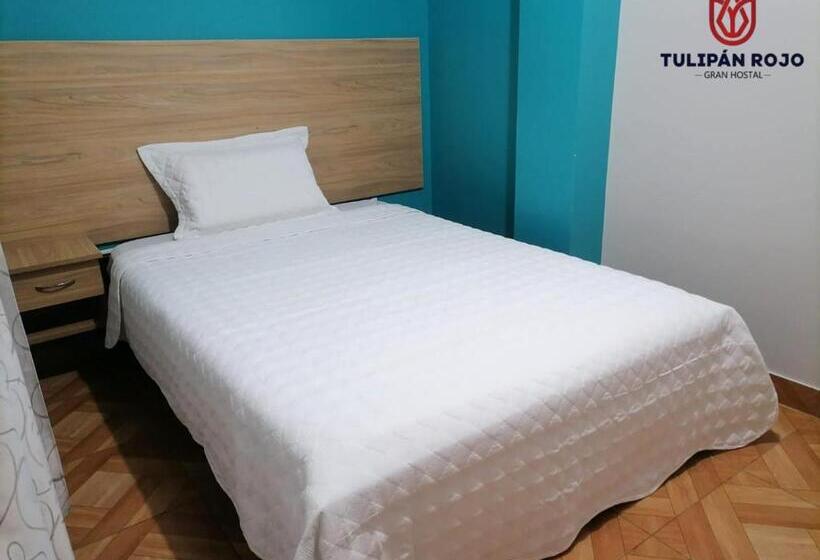 اتاق استاندارد یک نفره, Hostal Terraoro