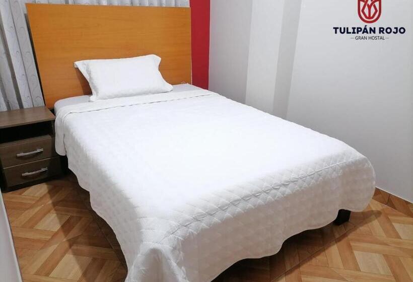 חדר סטנדרט יחיד, Hostal Terraoro