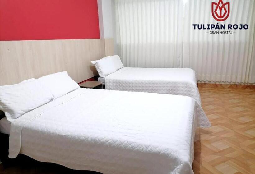 غرفه قياسيه سريرين مزدوجين, Hostal Terraoro