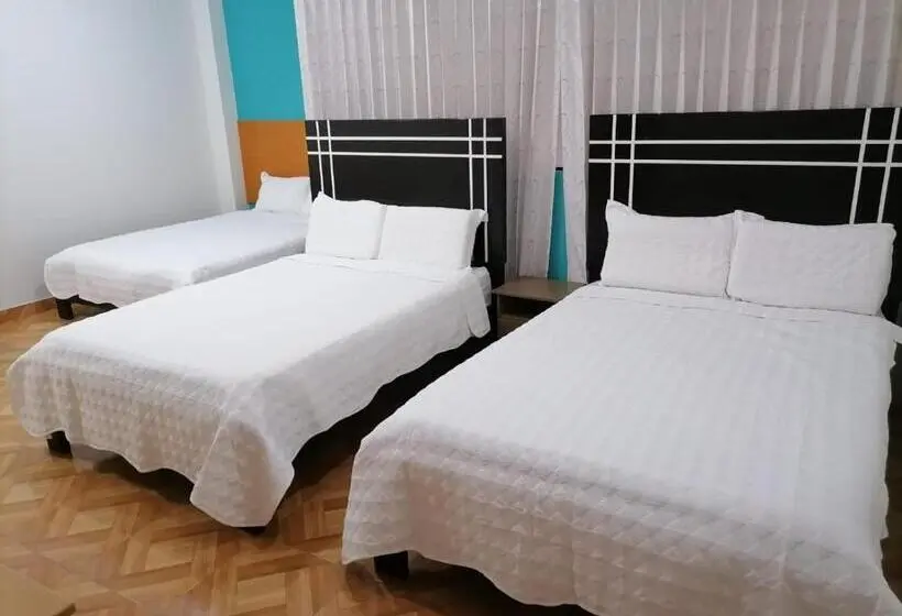 اتاق استاندارد سه نفره, Hostal Terraoro