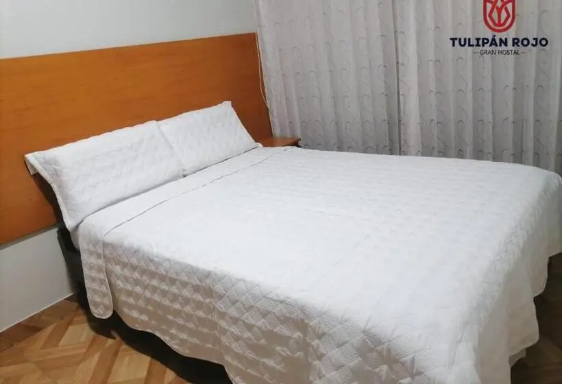 اتاق استاندارد, Hostal Terraoro
