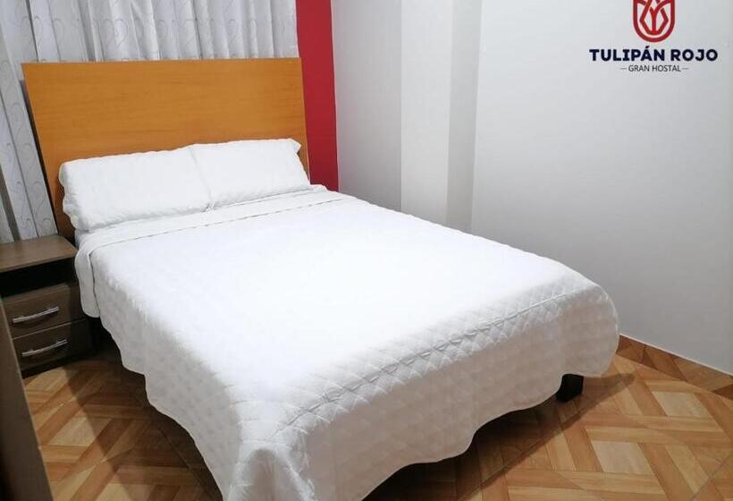 اتاق استاندارد, Hostal Terraoro