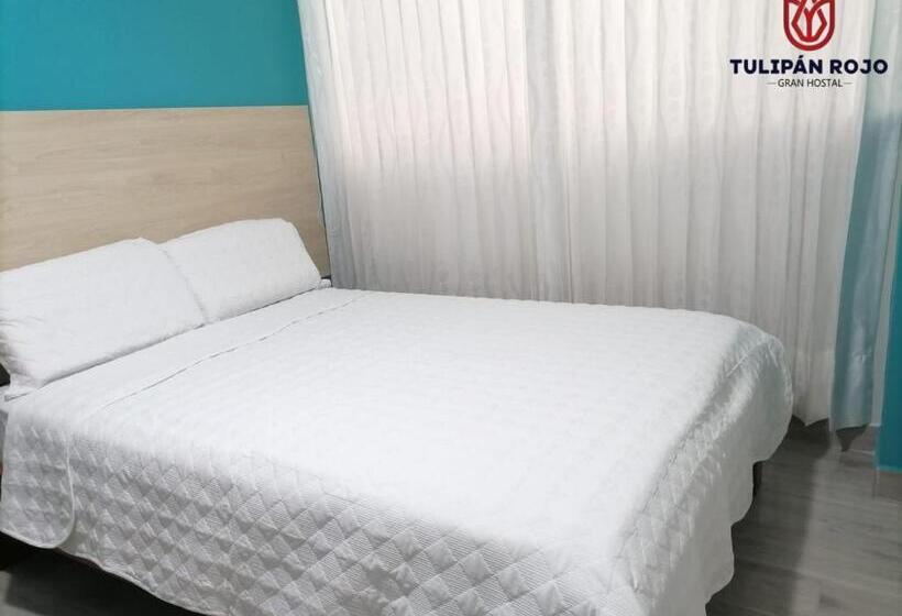 חדר סטנדרט, Hostal Terraoro