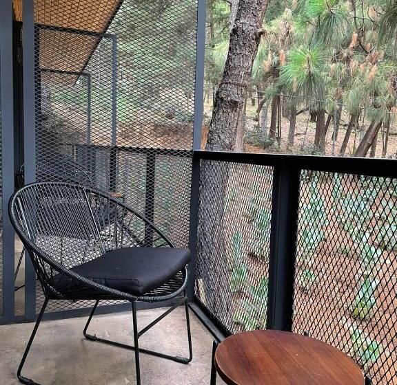 اتاق استاندارد, Oxú Solo Adultos