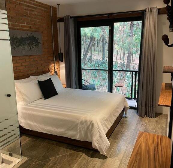 اتاق استاندارد, Oxú Solo Adultos