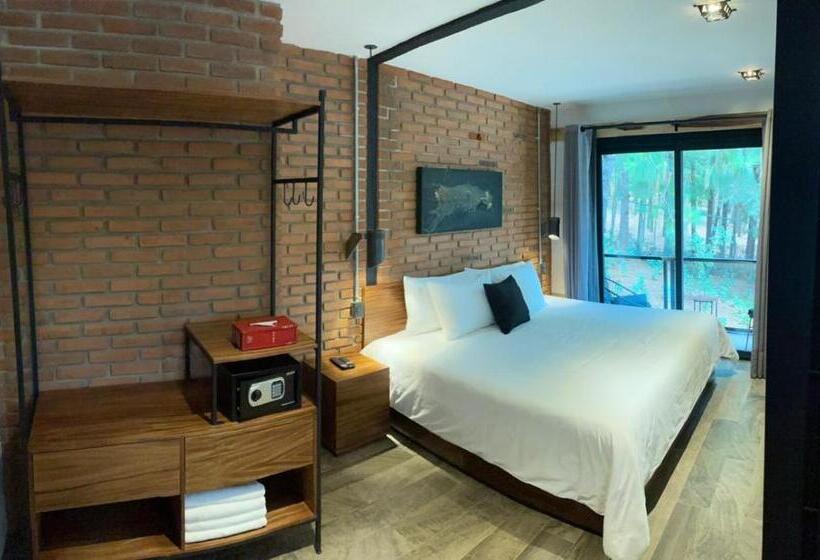 اتاق سوپریور, Oxú Solo Adultos