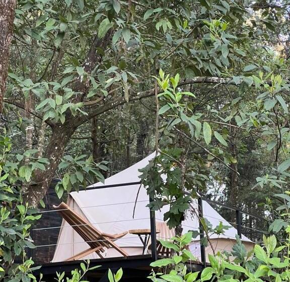 چادر با خدمات رفاهی استاندارد, Oxú Solo Adultos