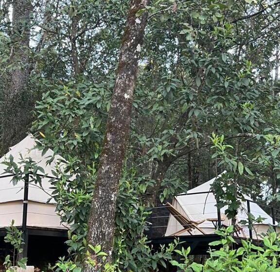 چادر با خدمات رفاهی استاندارد, Oxú Solo Adultos