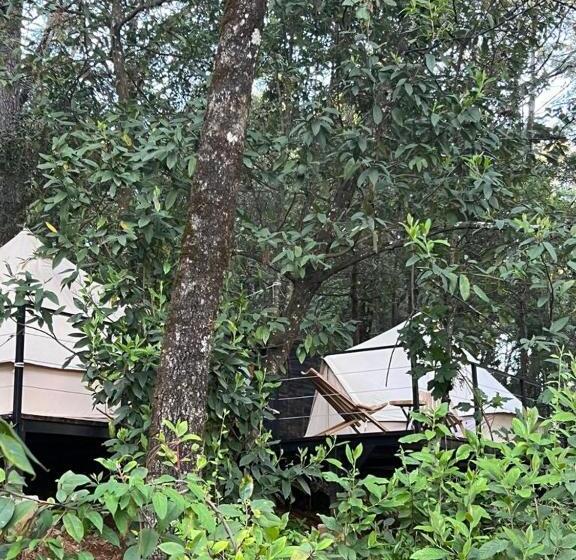 چادر با خدمات رفاهی استاندارد, Oxú Solo Adultos