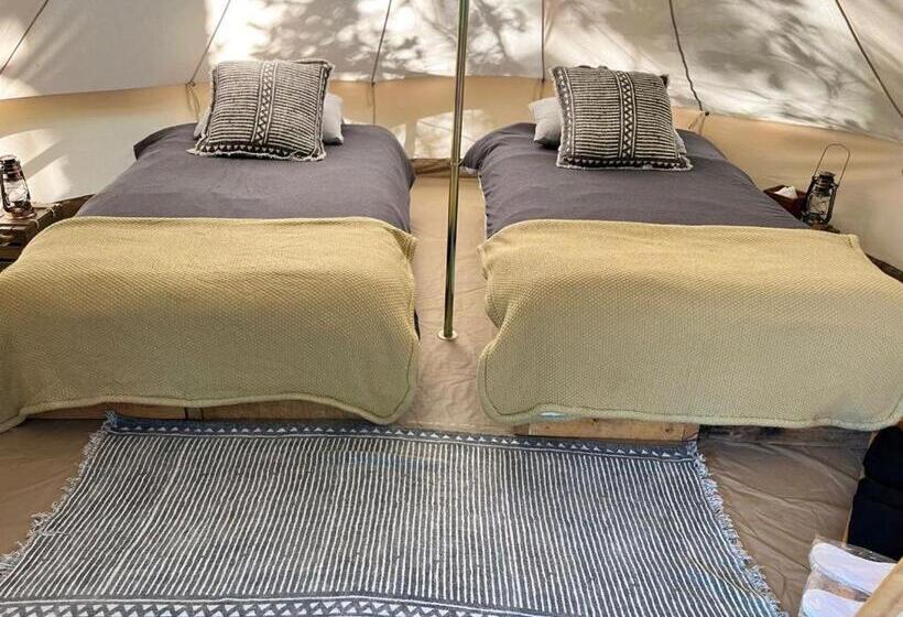 چادر با خدمات رفاهی استاندارد, Oxú Solo Adultos