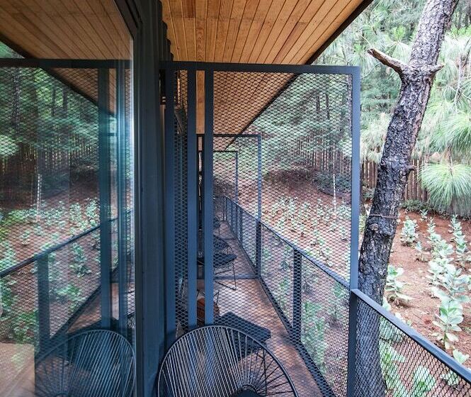 اتاق سوپریور, Oxú Solo Adultos