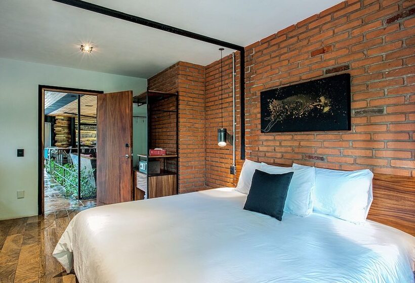 اتاق سوپریور, Oxú Solo Adultos