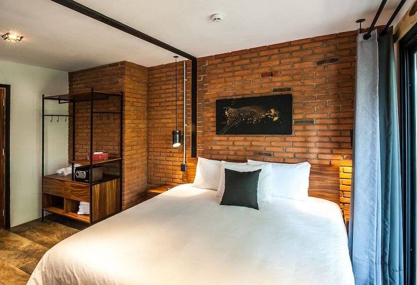 اتاق سوپریور, Oxú Solo Adultos