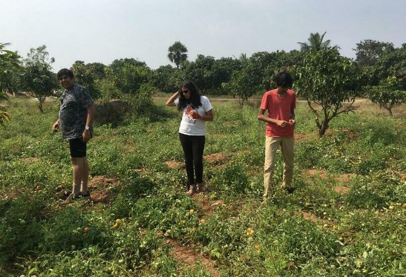 Семейный Номер Deluxe, Nannilam Organic Farm Stay