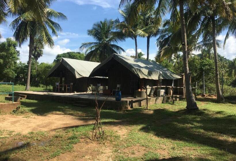Standard Tent, Nannilam Organic Farm Stay