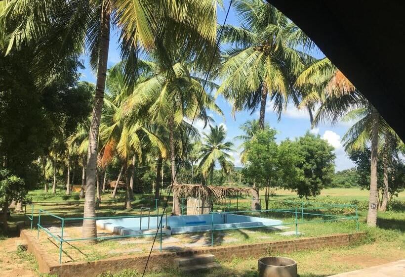 Standard Tent, Nannilam Organic Farm Stay