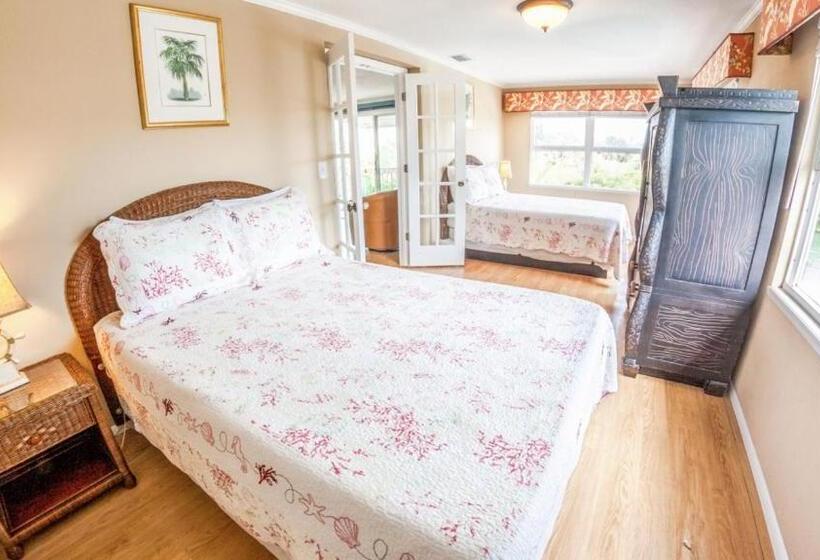 غرفة سوبيريور سرير كينج, Suntan Terrace