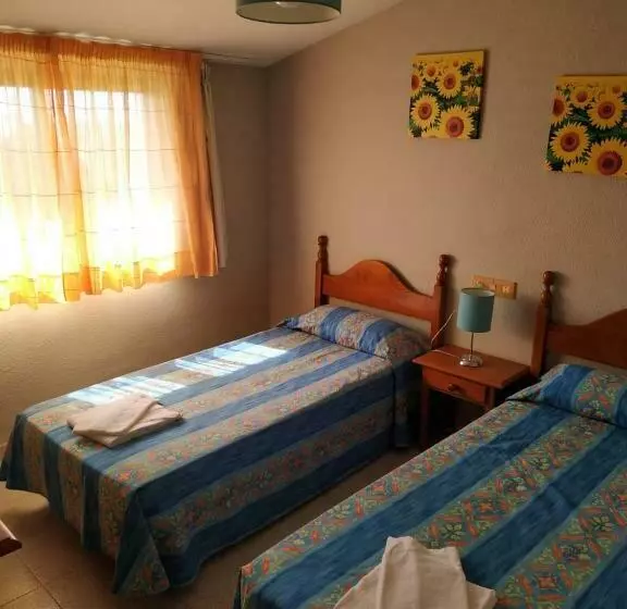 スタンダードスタジオ, Apartamentos Playa Romana Park
