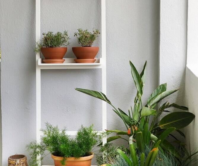 ジュニアスイート, Ekies All Senses Resort