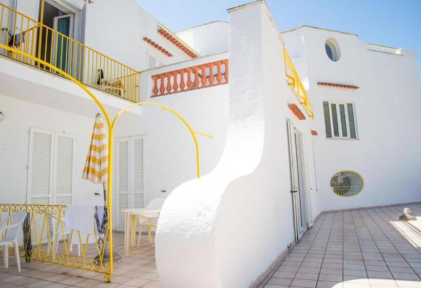 Номер Стандарт, Internazionale