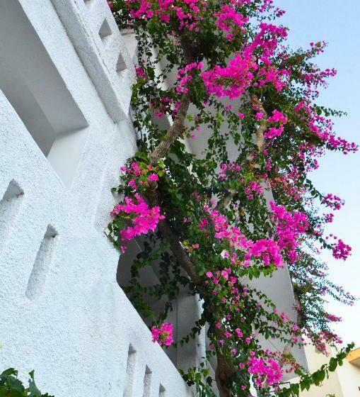 סטודיו סטנדרטי נוף לים, Iro