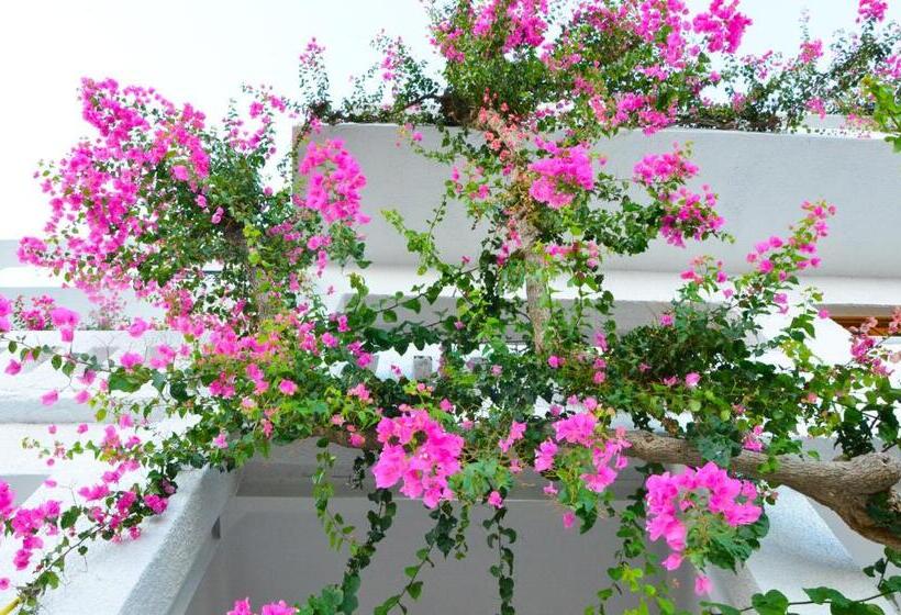 חדר סטנדרט נוף לים, Iro