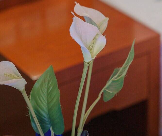 غرفة قياسية مطلّة علي البحر, Kos Palace