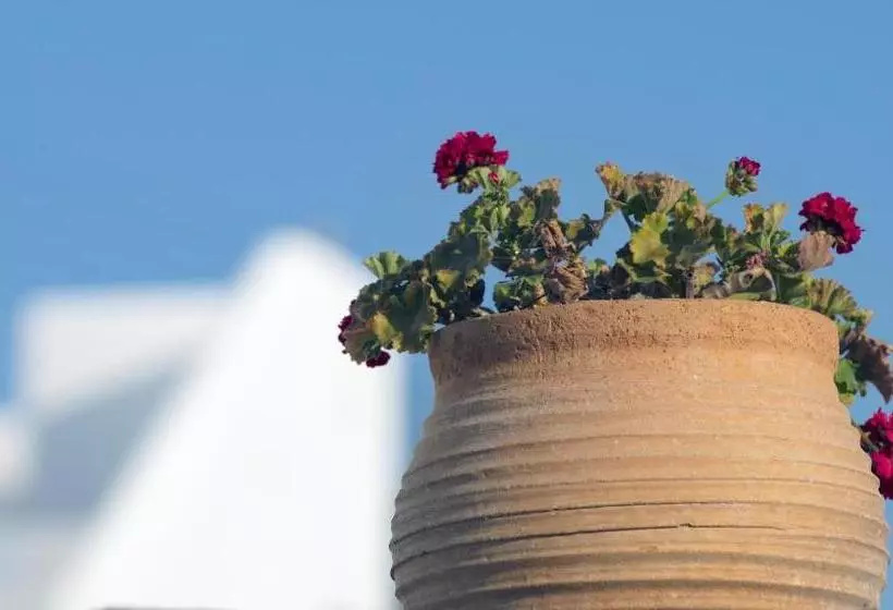 اتاق استاندارد, Mykonos View