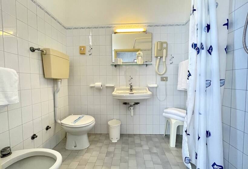 غرفة قياسية, Trovatore