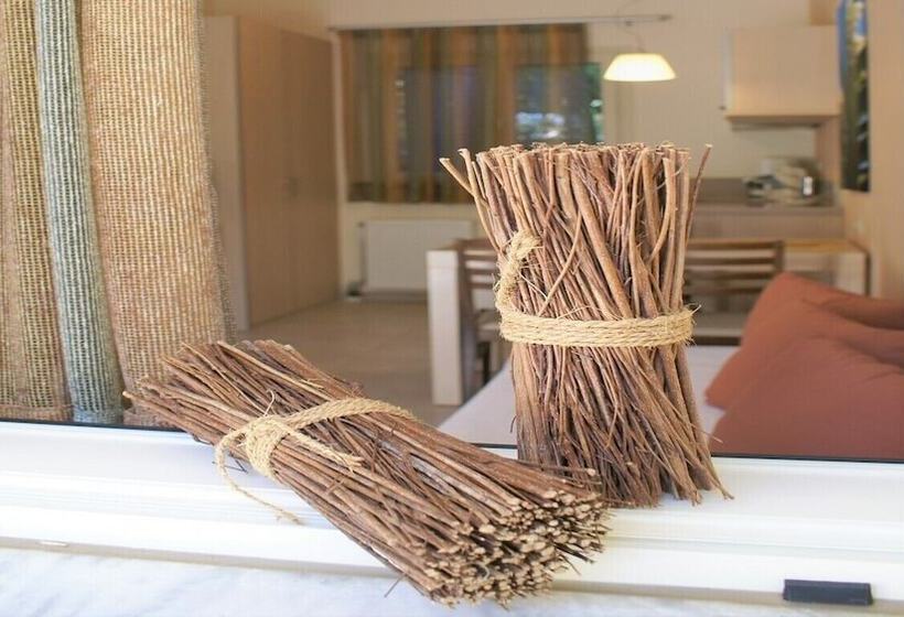 شقة سوبريور غرفة واحدة, Your Memories