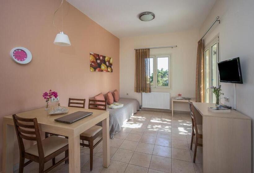 شقة سوبريور غرفة واحدة, Your Memories