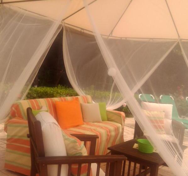 패밀리 스튜디오, Damia