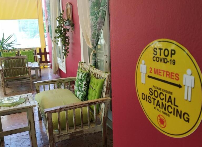 패밀리 스튜디오, Damia